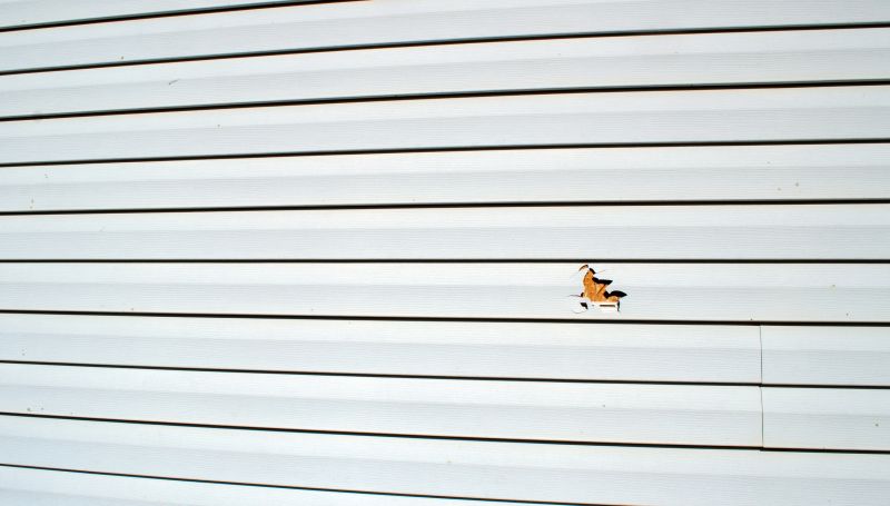 Repairing Vinyl Siding Damage