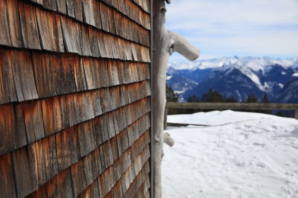 Cedar Siding Repair in Arlington