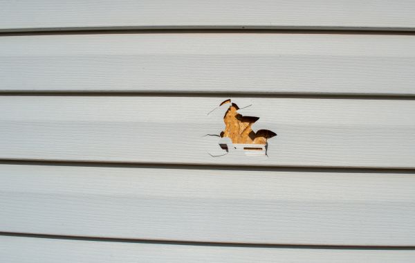 Siding Hole Patching in Arlington